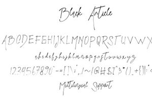 Black Article