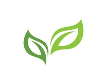 Leaf green logo vector