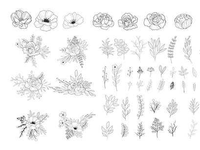 Hand-Drawn Floral Vector Collection