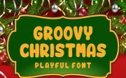 Groovy Christmas