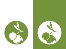 Extra virgin olive oil logo icon design vector illustration
