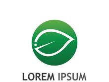 Natural green leaf logo design.