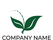 Green leaf logo design vector illustration