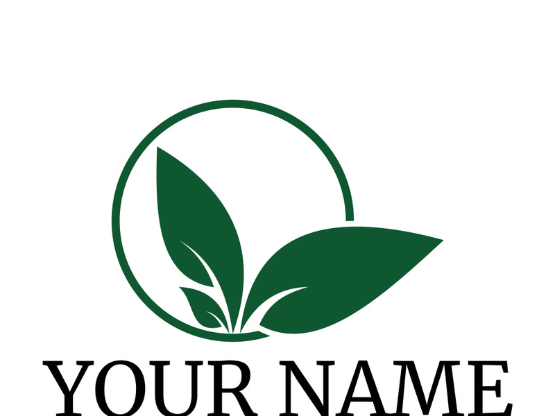 Green leaf logo design vector illustration