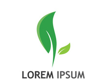 Natural green leaf logo design.
