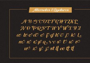 Ranup - Modern Script Font