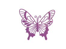 Butterfly, SVG Vector Illustration