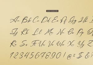 Palmintte | Handwritten Script