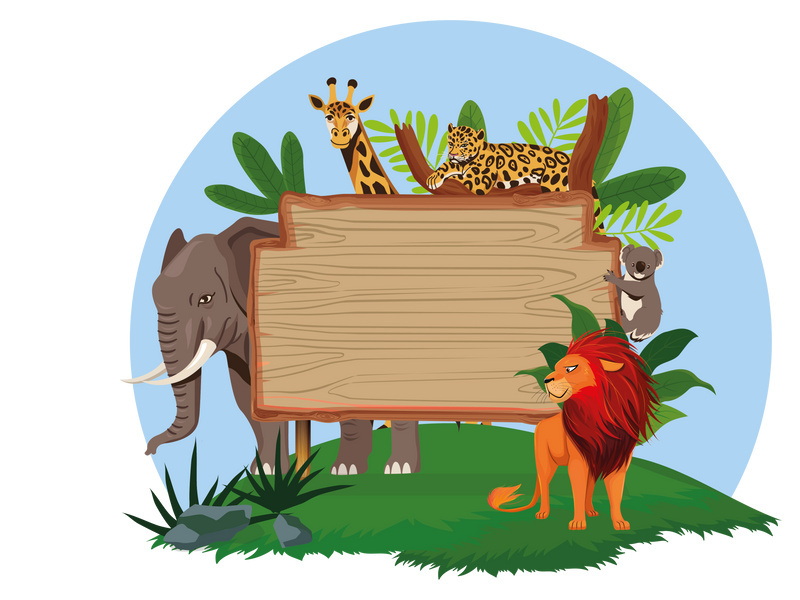 Empty banner wild animals vector illustration