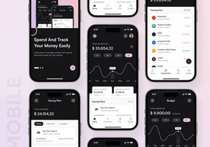 Paypay - Money Management Mobile and Saas App
