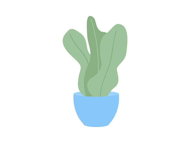 Pot plant with large leaves semi flat color vector object
