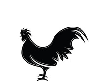 Rooster logo icon vector and symbol template design illustration