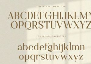 Qualifies - Serif Font
