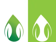 Green tree leaf nature logo images illustration design