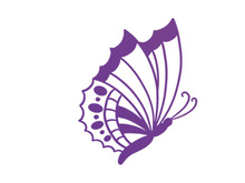 Butterfly, SVG Vector Illustration