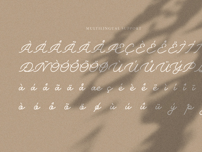 Belly Shine | Handwritten Script Font