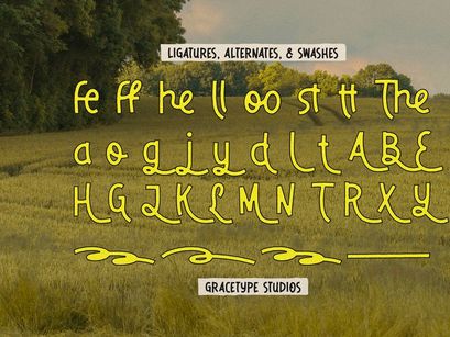 Dirello Meadow | Playful Hand Drawn