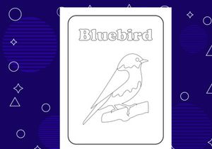 10 Pages Bird coloring page or books for kids. Vector illustration