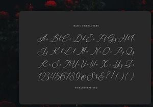 Avilantery | Elegant Calligraphy Script