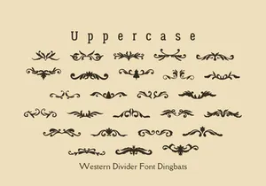 Wastern Divider