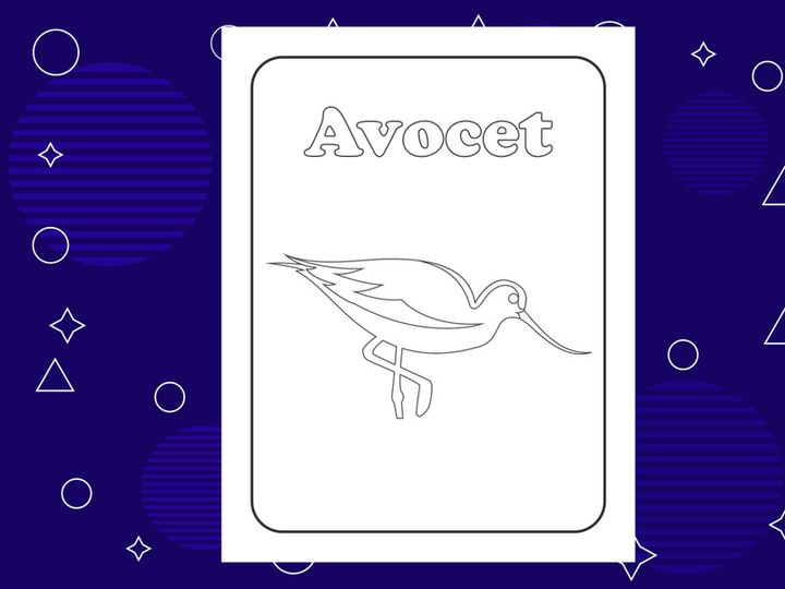 10 Pages Bird coloring page or books for kids. Vector illustration