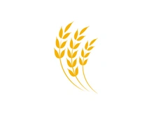Agriculture wheat rice icon illustration
