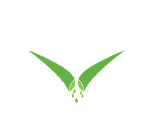 Aloe Vera logo icon design symbol beauty skin care