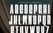 Skyhigh - Condensed Sans Serif