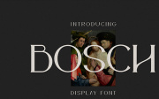 Bosch Display Font - Personal Use