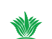 Aloe Vera logo icon design symbol beauty skin care