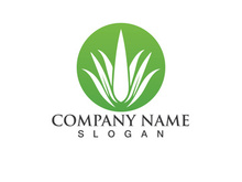 Aloe vera logo vector ilustration template