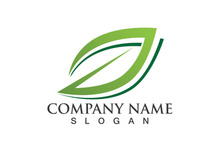 Eco leaf green logo vector