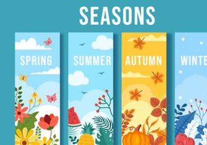 14 Scenery of the Four Seasons of Nature Illustration