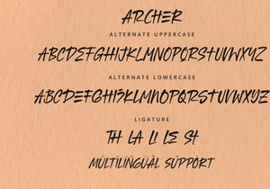 Archer - Rough Font