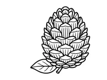 Ilustrasi kerucut pinus dengan daun. Gambar botanis artistik untuk tema alam.