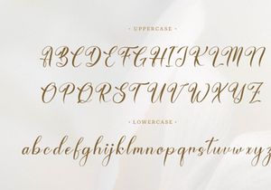 Emilleya | Beauty Script