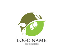 olive icon vector illustration design template