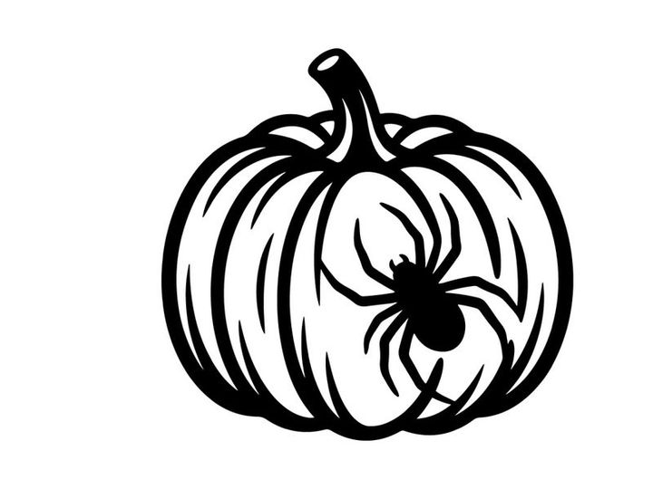 Black and White Pumpkin with Spider for Halloween Decorations
