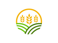 Agriculture wheat rice icon illustration