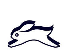 Rabbit logo