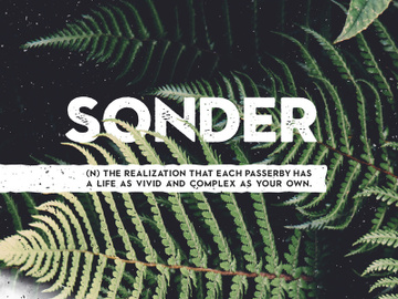 Sonder - Free Type Family preview picture