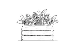 Christmas pine cones and holly leaves in a wooden crate line art illustration
