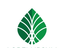 Leaf logo