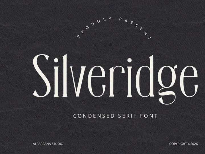 Silveridge - Serif Font