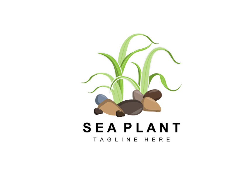 Seaweed Logo, Sea Plants Vector Design, Grocery And Nature Protection