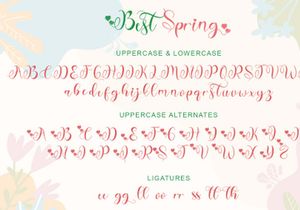 Best Spring