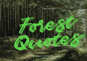Sheep | Dry Brush Script Font