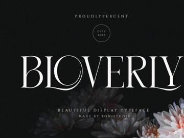 BLOVERLY || Display Serif preview picture