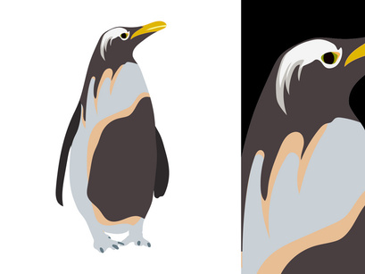 Penguins Vector Bundle