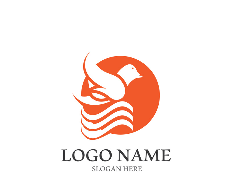 Dove bird logo vector design illustration